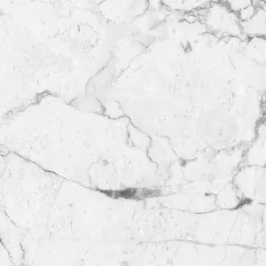 Керамогранит Absolut Gres Carrara White Matt AB 1077M 60x60 см