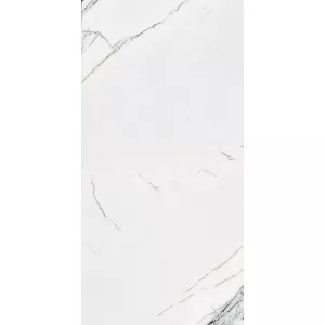 Керамогранит Maimoon Ceramica Spider White glossy белый 60х120 см