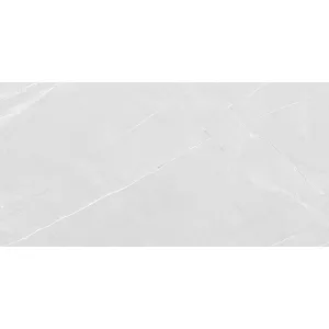 Керамогранит Absolut Gres Armani Bianco AB 1166G 120х60 см